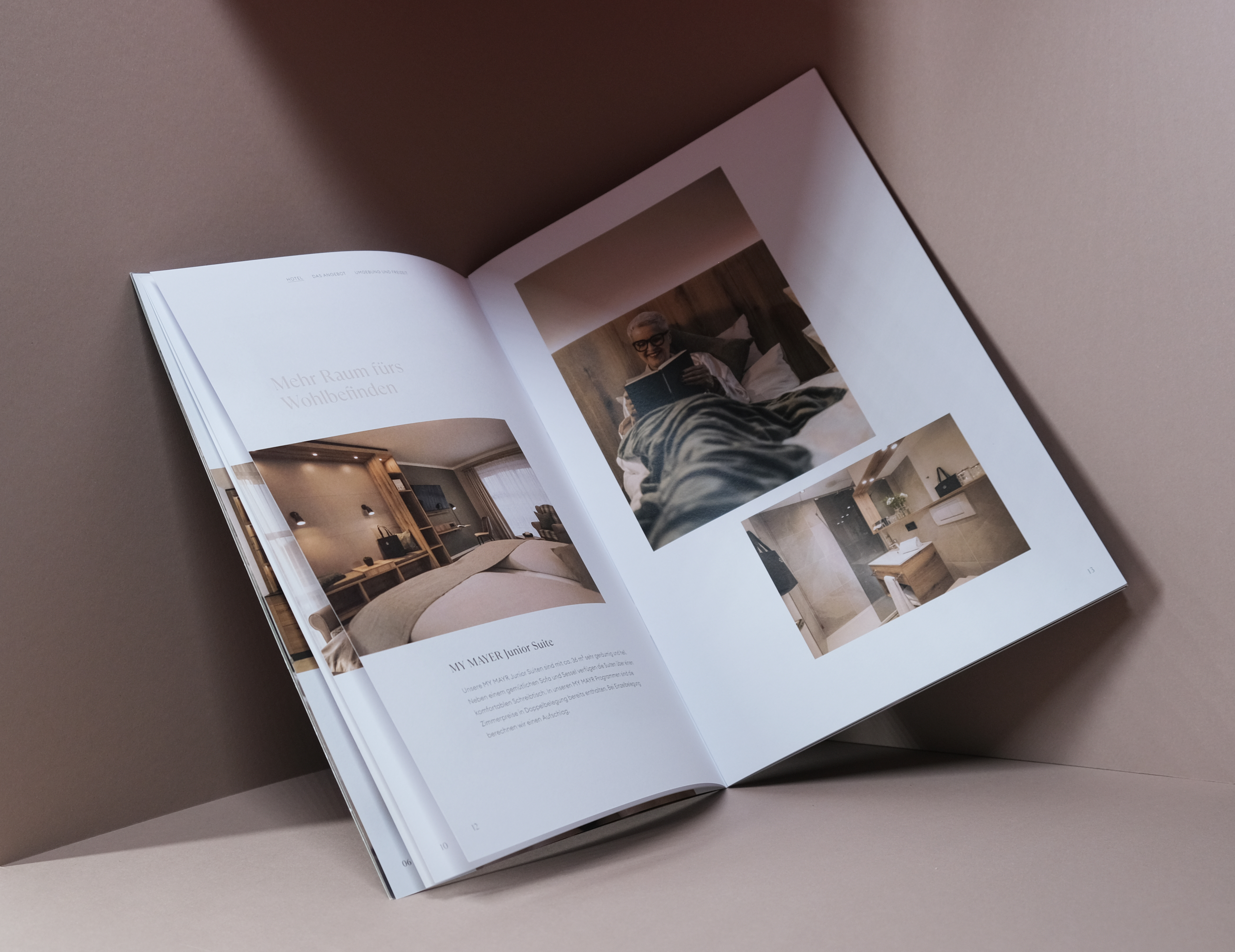 Project small picture 2