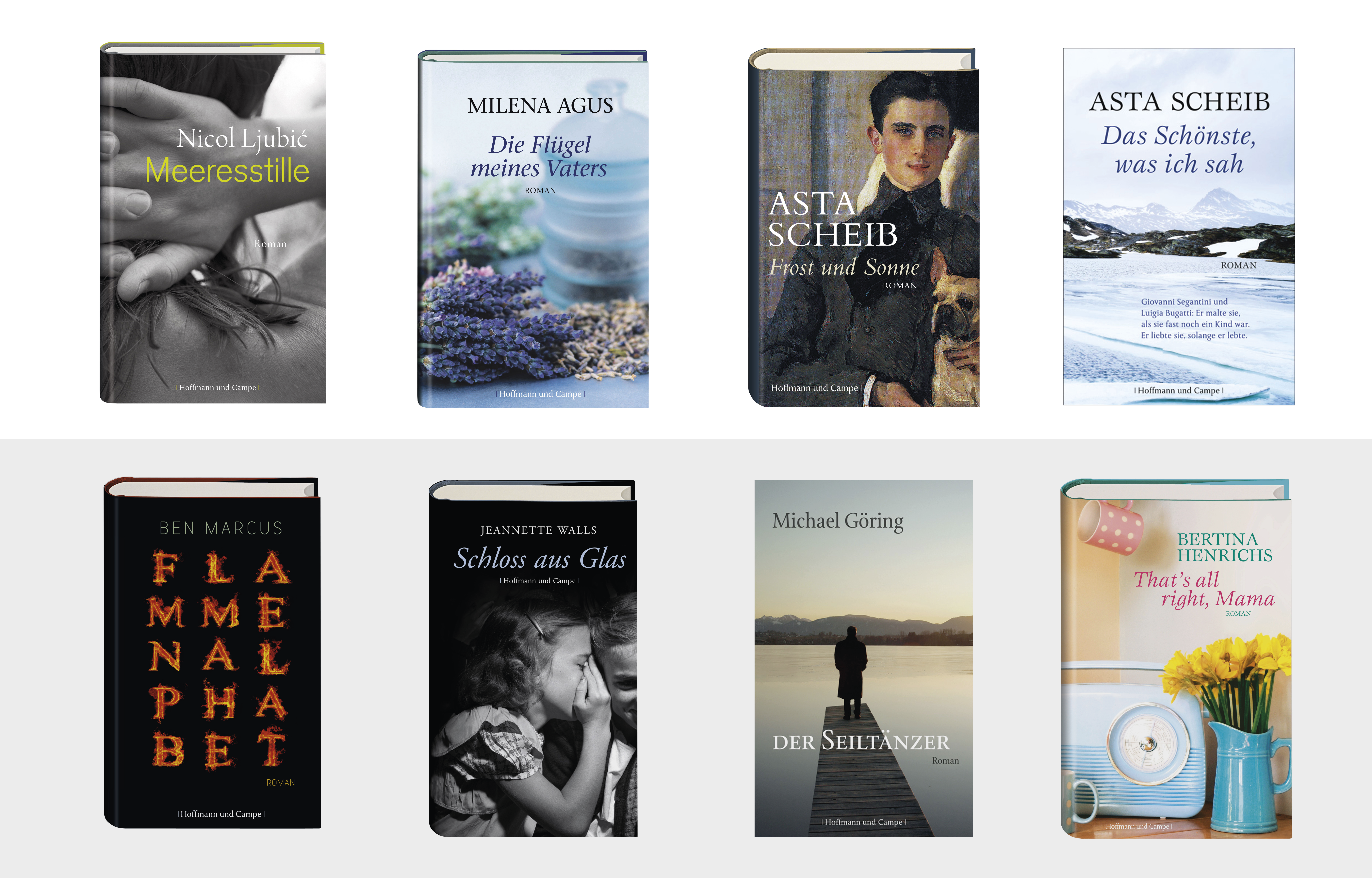 Single picture of the project